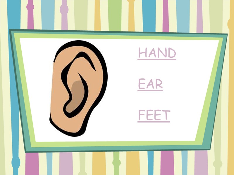 HAND  EAR  FEET